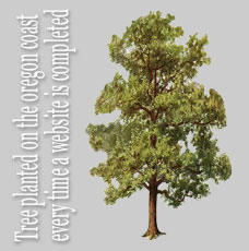custom website design donates trees
